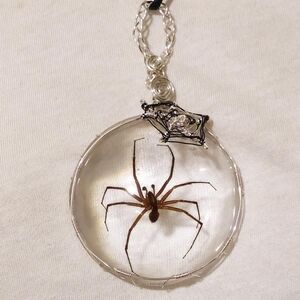 Silver Spider Pendant Necklace